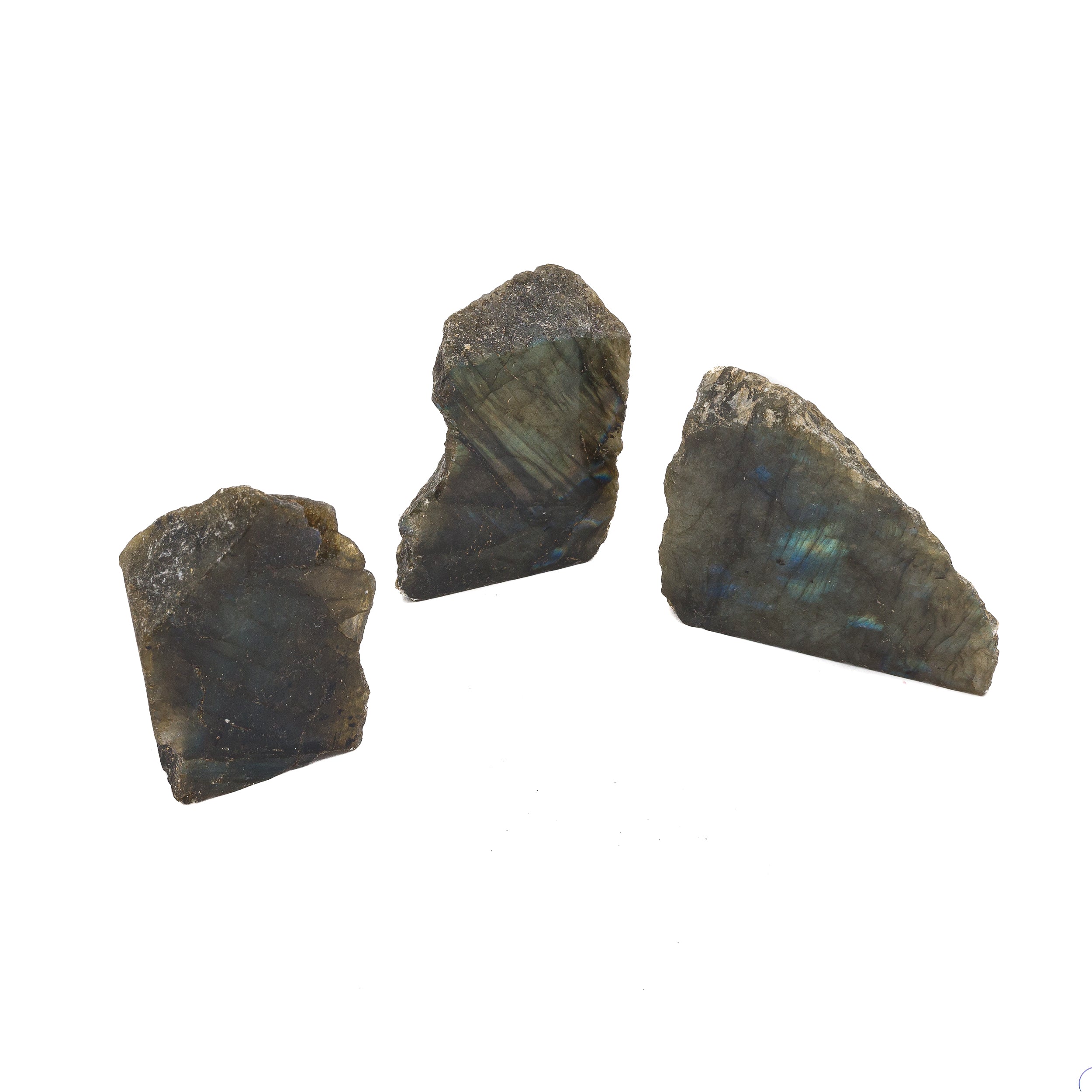 Labradorite Slice $25